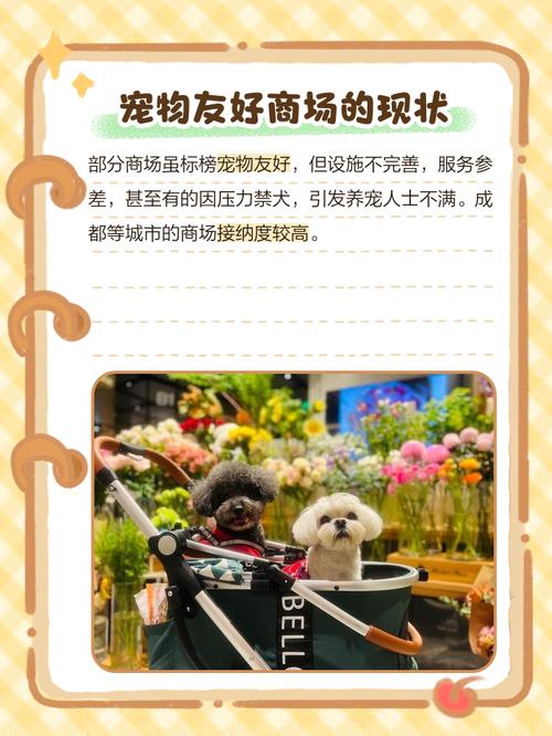 为什么狗狗不能去商场