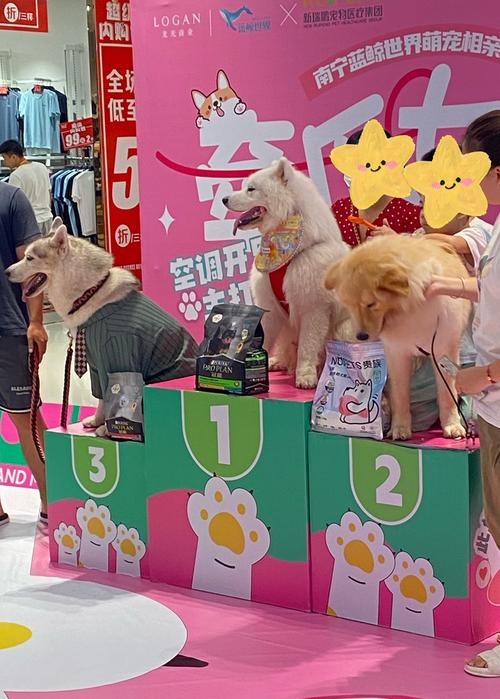 狗狗可以去商场吗?