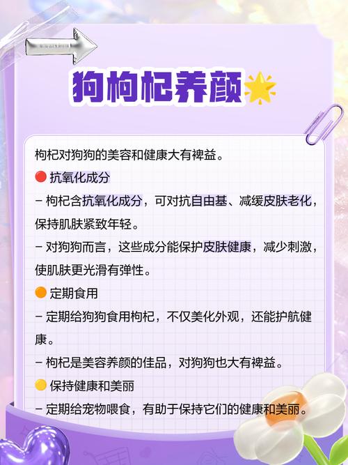 狗狗为什么不能吃枸杞