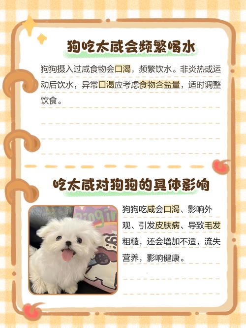 狗吃了咸的东西会怎么样