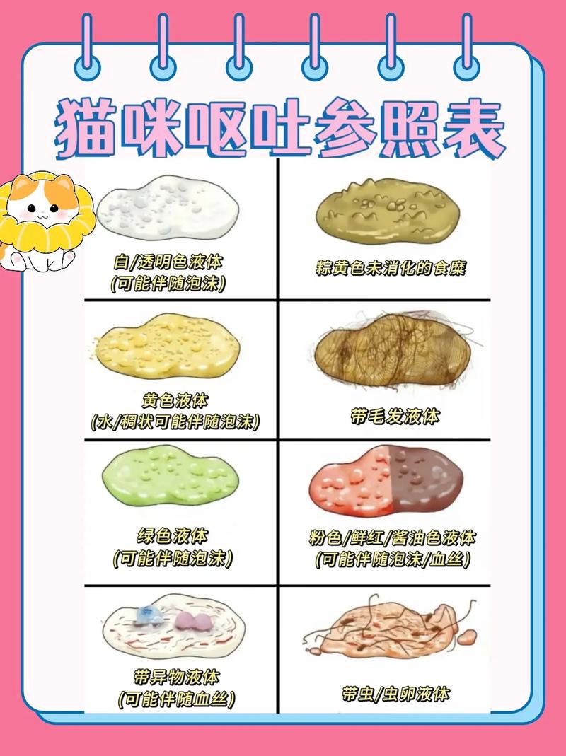 猫咪一直吐怎么办?