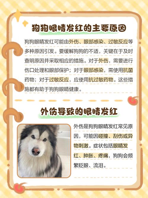 法斗眼睛红是什么原因