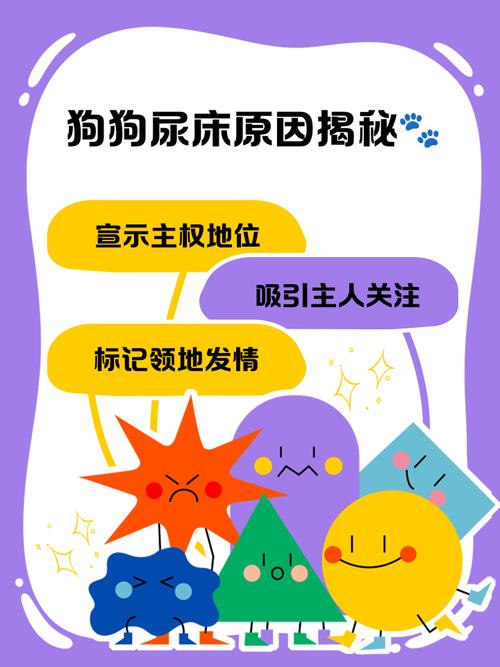 狗狗尿失禁是什么原因,要怎么治疗