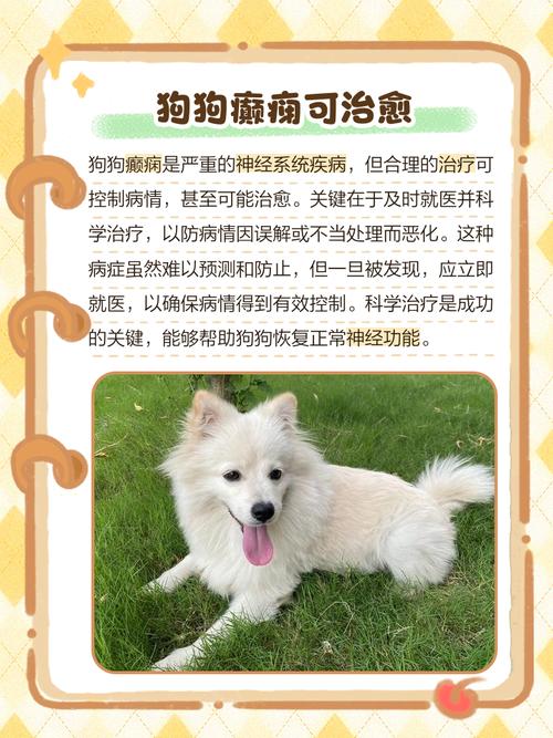 狗癫疯病怎么才能治好