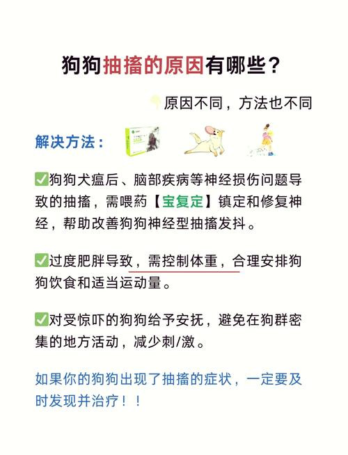 狗狗癫疯病怎么治疗比较好