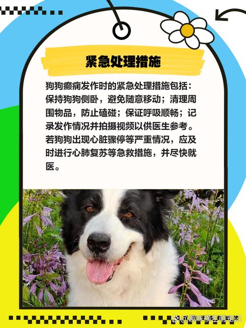 狗狗癫痫能治好吗?