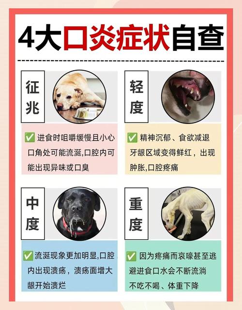 狗狗得了口腔炎该怎么治疗?