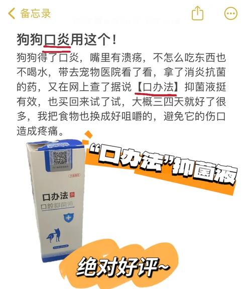 狗狗得口腔炎的治疗方法