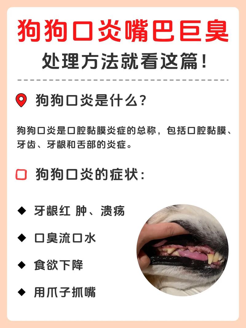 狗狗口腔炎的治疗方法