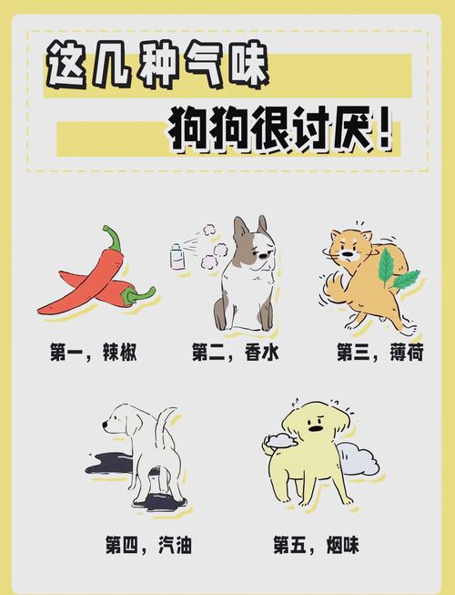 狗狗到底讨厌什么味道呢