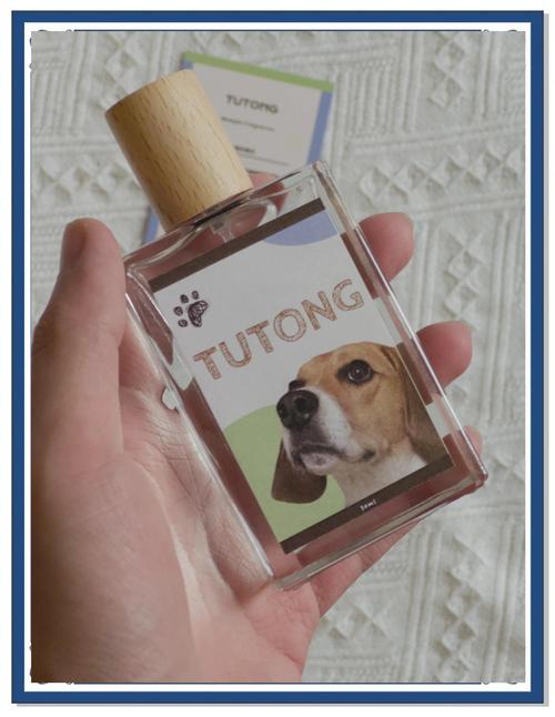 狗狗闻香水会有哪些影响?