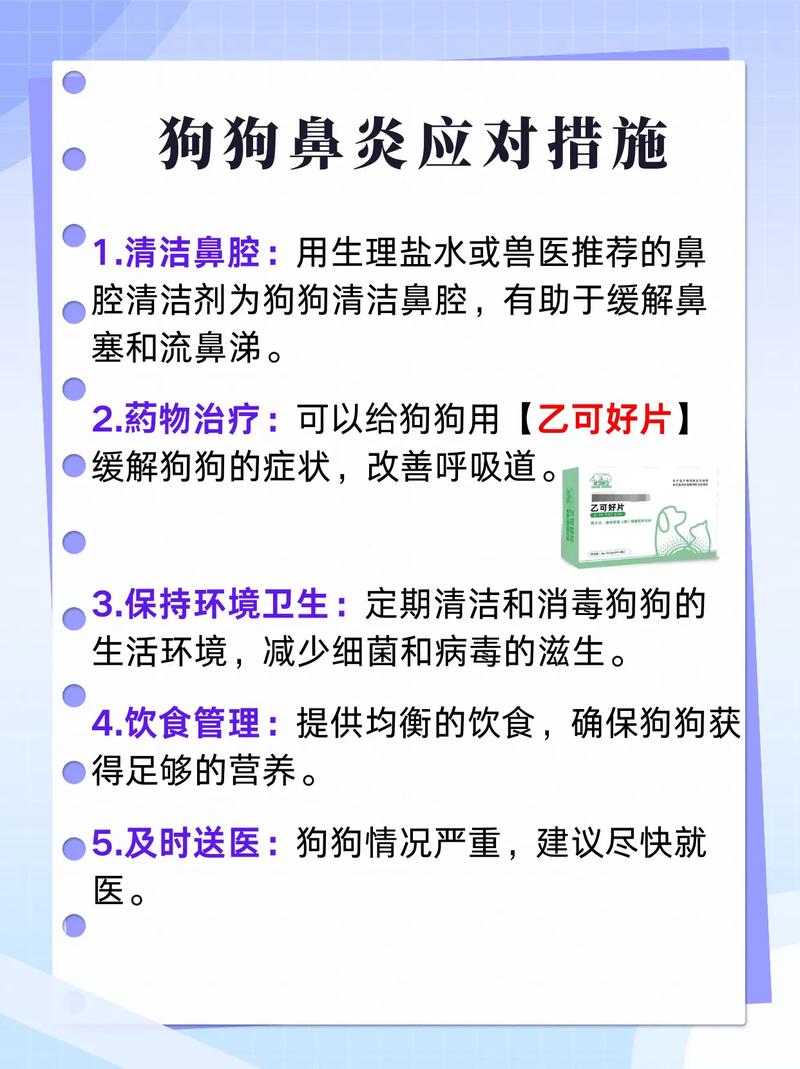 狗狗鼻塞的症状和原因