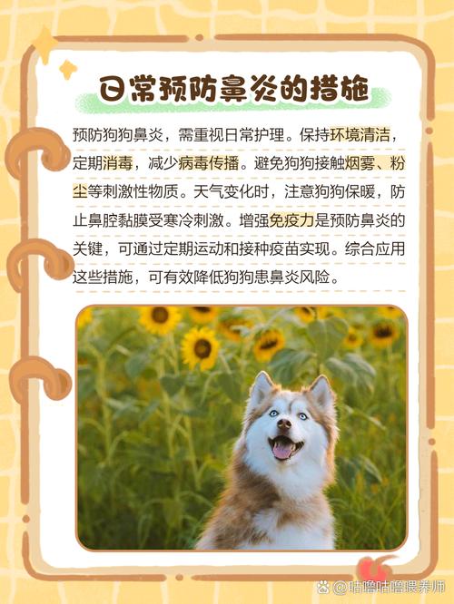 狗狗会得鼻炎吗?怎么判断狗狗鼻炎?