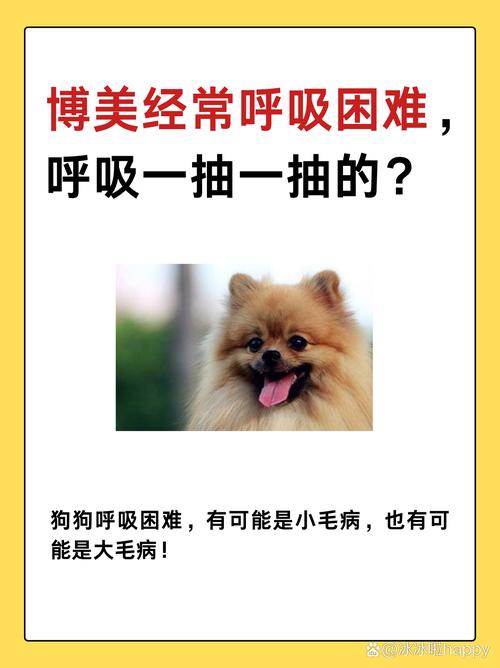 狗狗鼻子不通气呼吸一抽一抽的是为什么-博美鼻子不通气噗噗的什么原因...