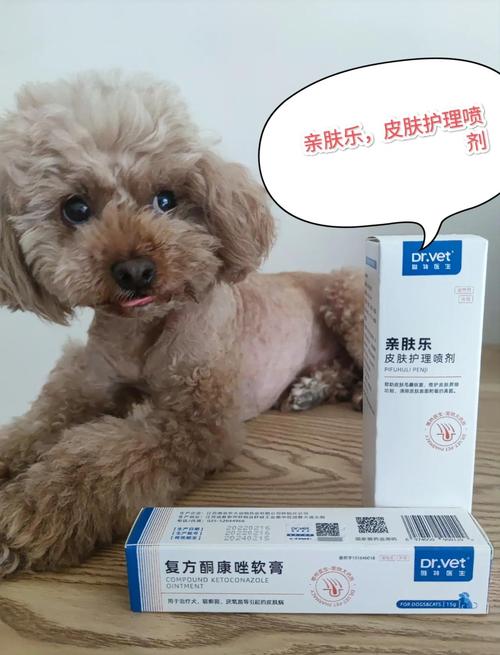 狗狗身上有伤口用什么药