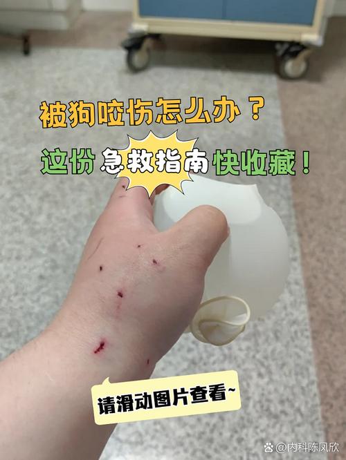 狗狗有一个伤口一直不太好该怎么办