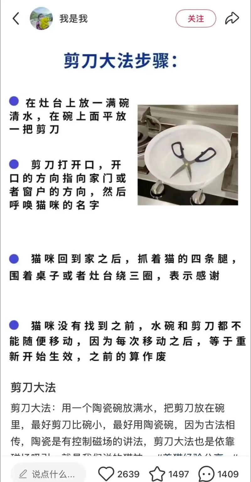 猫好多天不回家怎么办啊?