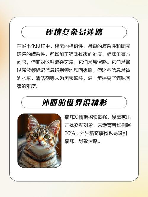 为什么猫咪受伤后不回家