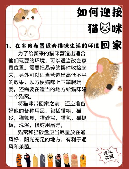 家里有猫怎么迎接新猫咪