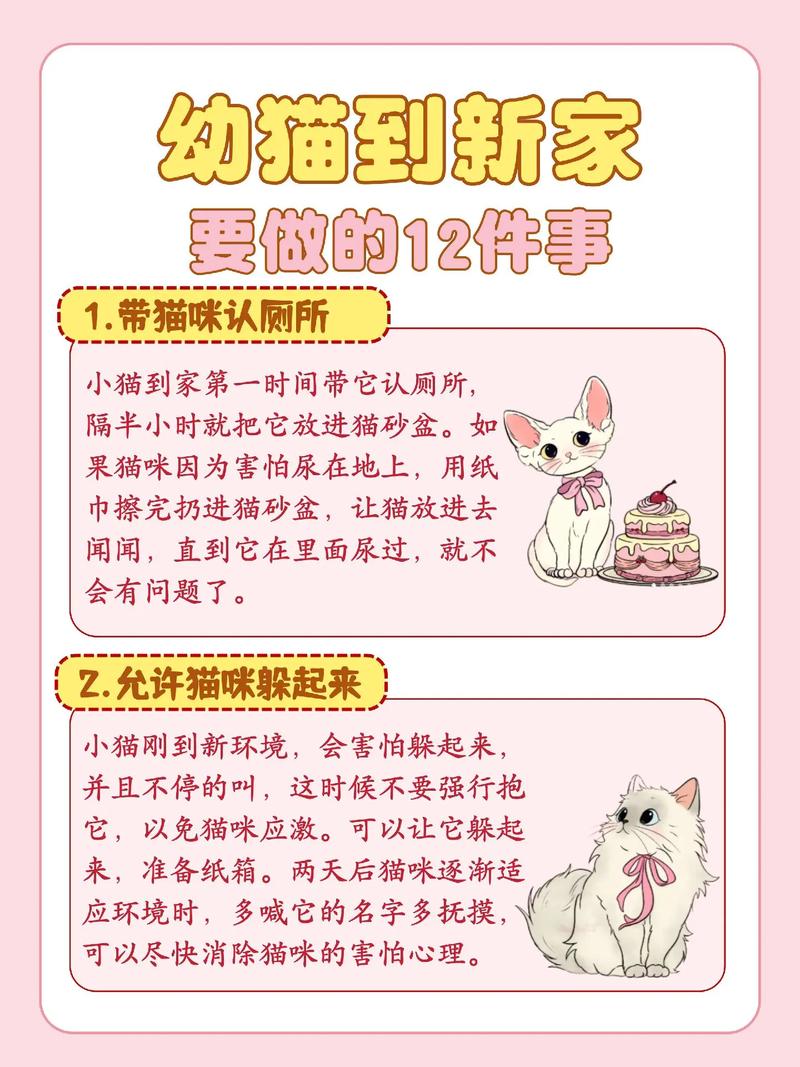 猫咪去新家多久能适应