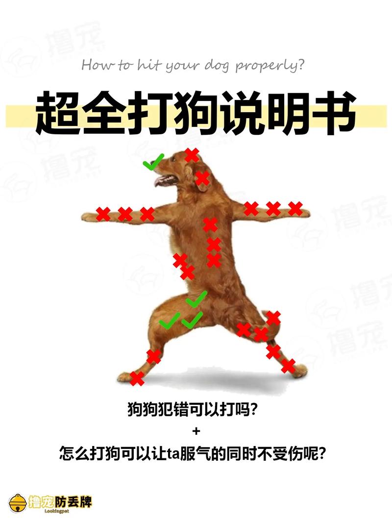 狗追着你叫预示着什么