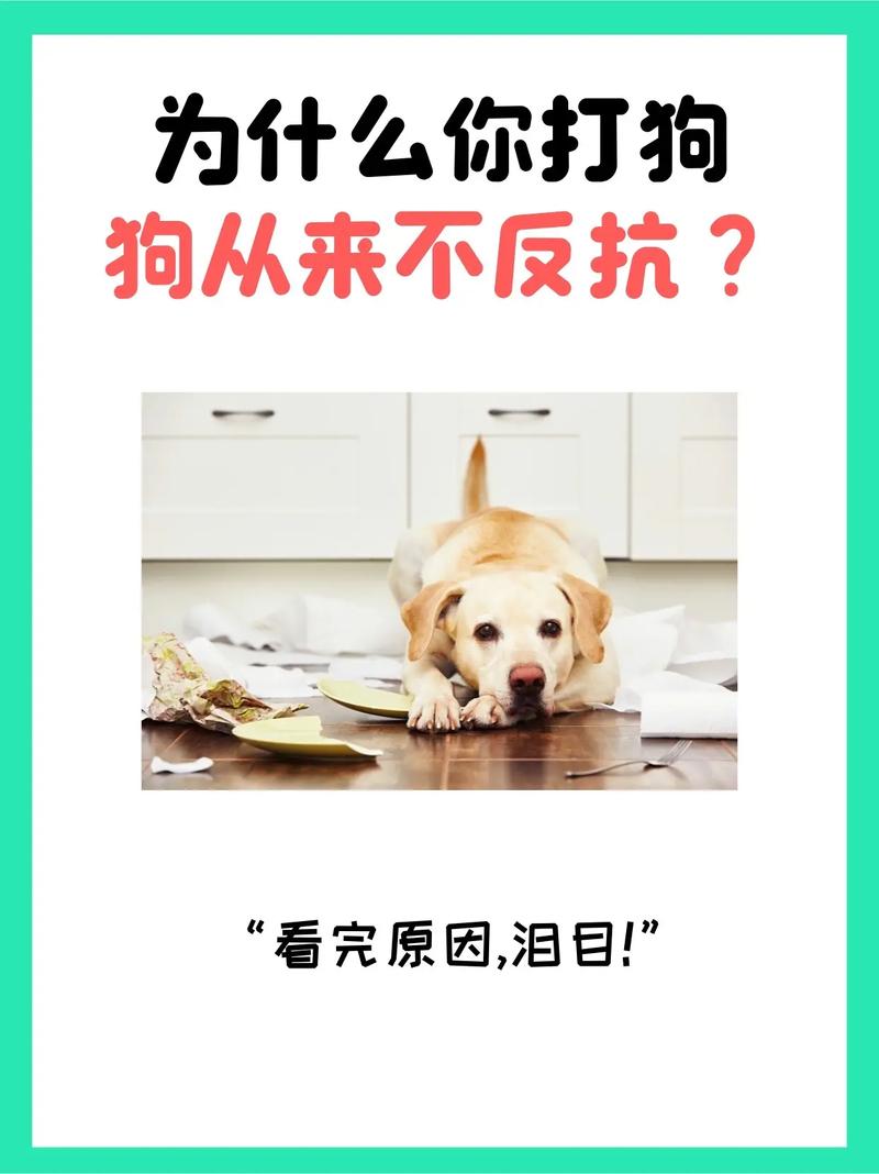 为什么一回家狗狗冲着我叫