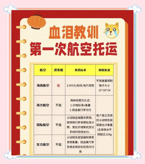 猫咪走空运大概要多少费用