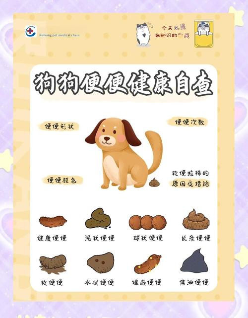 狗狗拉细长便便怎么办