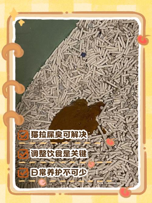 猫咪拉屎很臭
