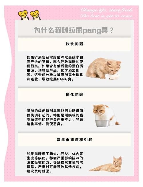 猫拉屎很臭怎么办