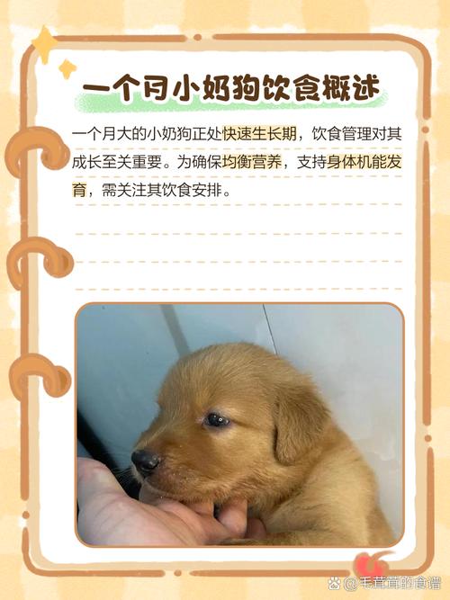 一个月狗狗吃什么