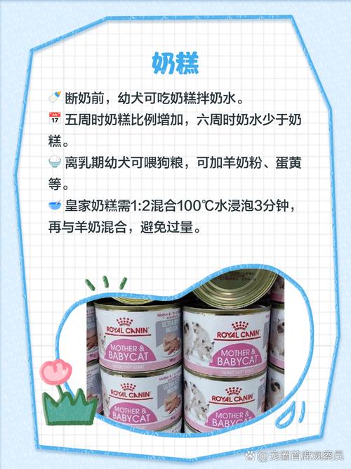 一个月大的小狗吃什么好?