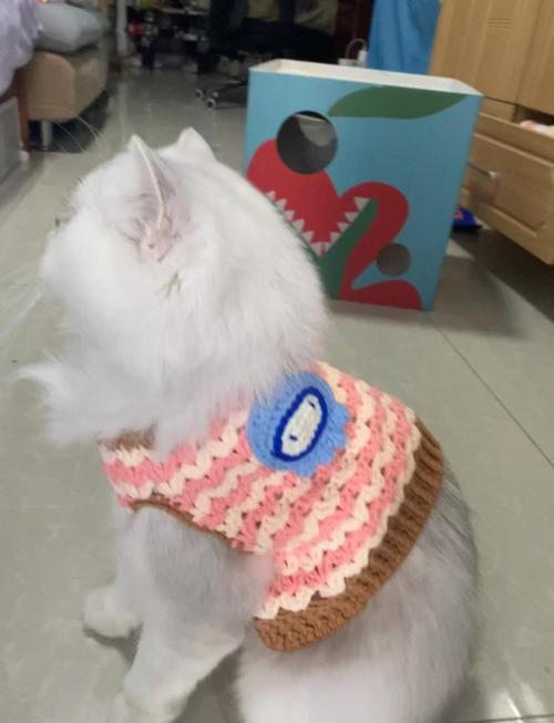 想自己动手给猫咪做衣服,有哪些技巧值得分享?