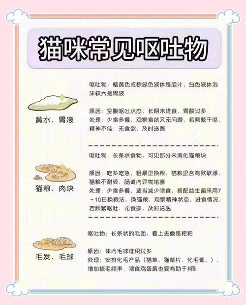 猫咪吐绿水是猫瘟