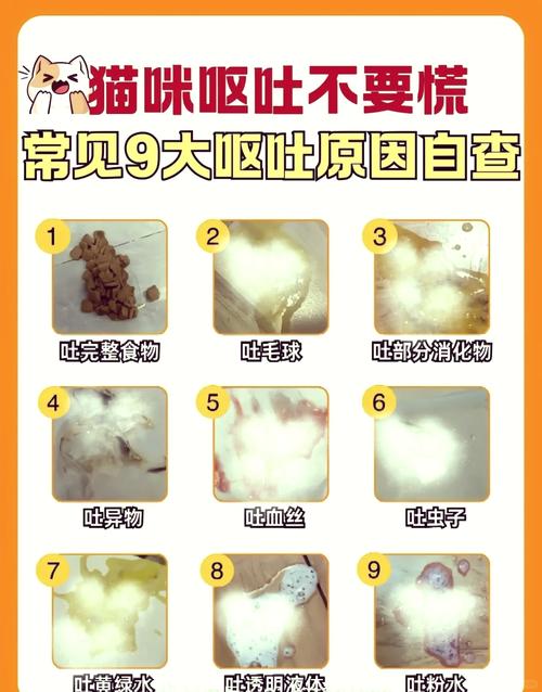 猫咪吐绿水不吃饭是什么病