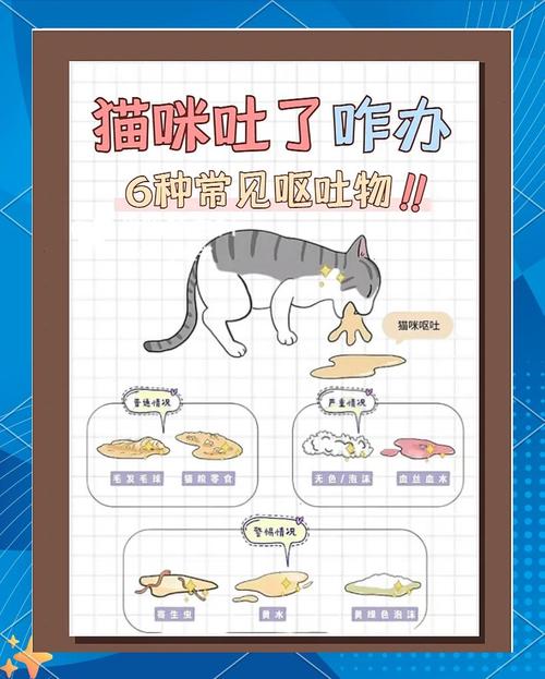 猫咪吐绿水怎么办?