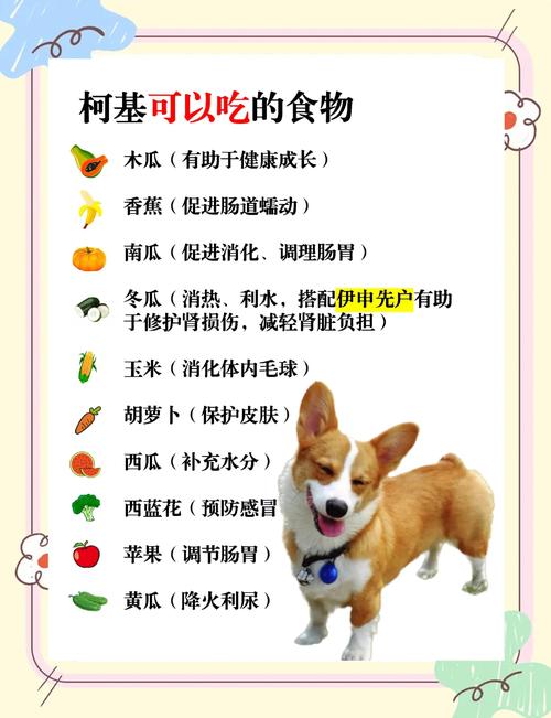 狗狗可以吃甜食吗?狗狗吃甜食好不好