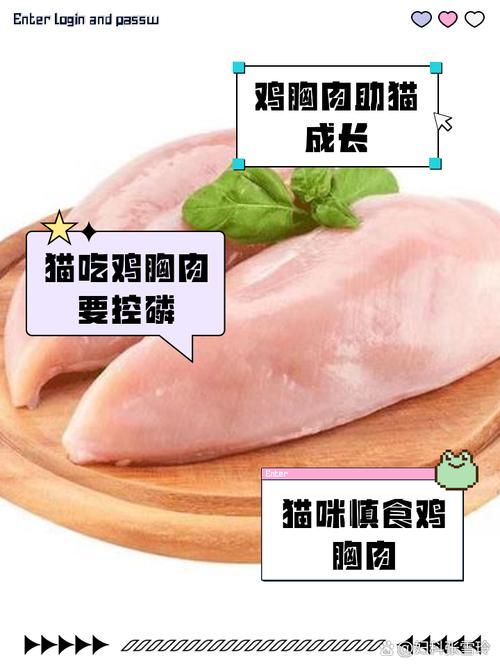 可以给猫吃生的鸡胸肉吗