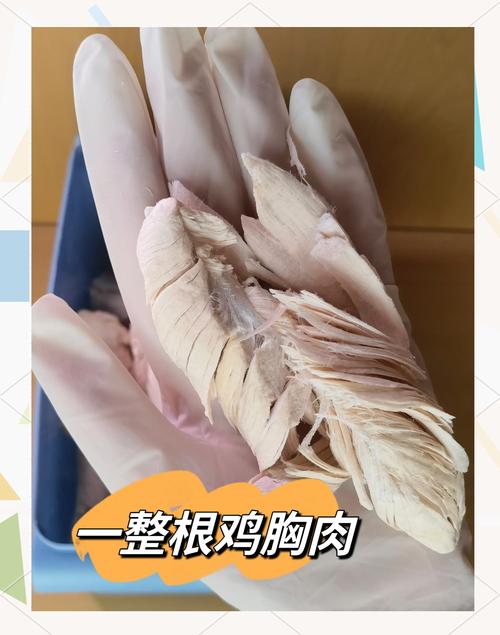 鸡胸肉猫咪多久吃一次,生的鸡胸肉猫咪能吃吗