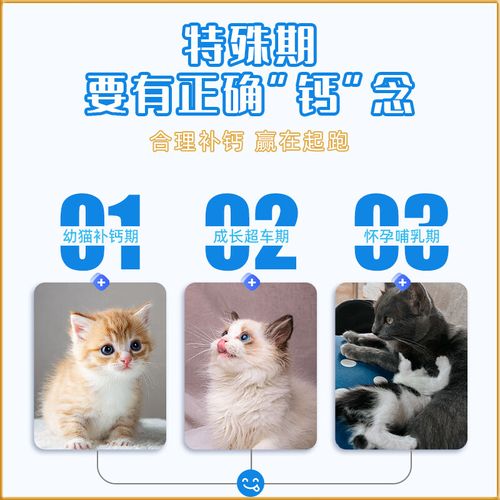 猫补钙要吃什么