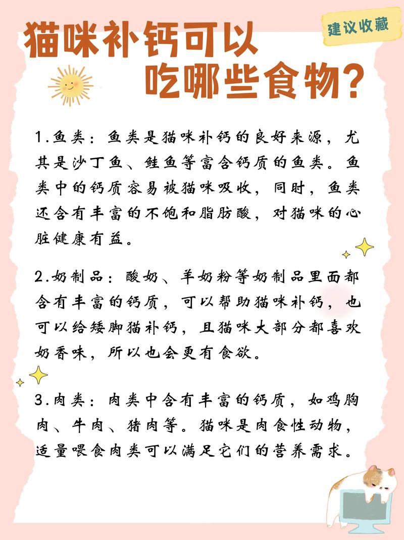 猫补钙吃什么