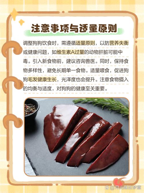 狗换毛期间吃什么对长毛好