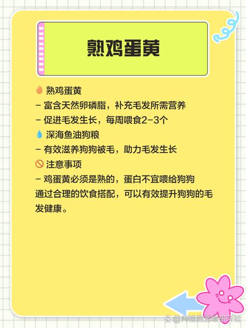 喂狗吃什么毛发好