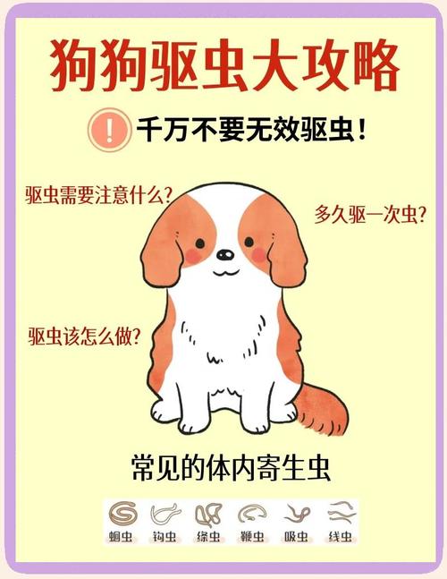 狗身上有蜱虫怎样彻底清除