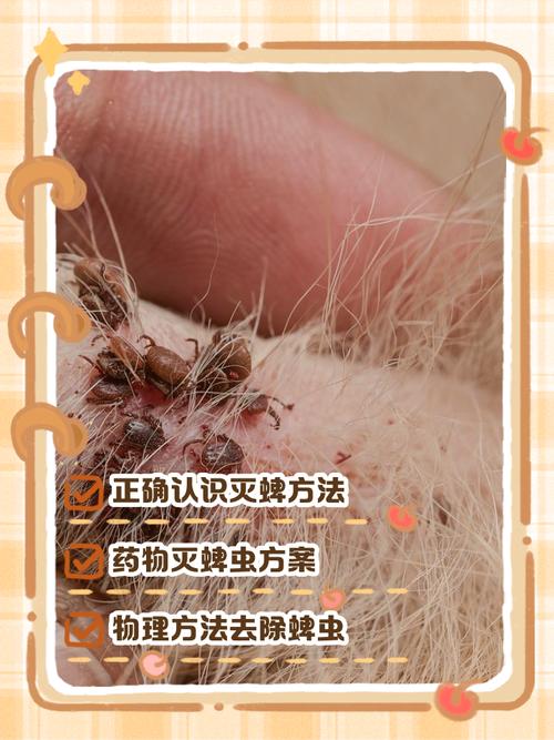 狗狗身上的虫子怎么去除最有效