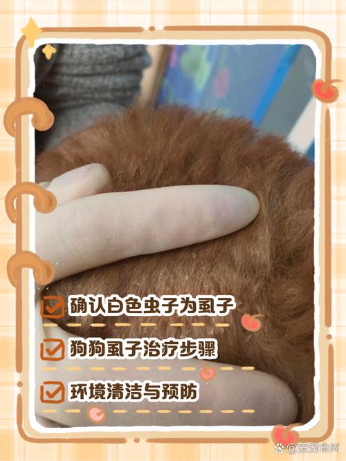 狗身上有虫子怎么办