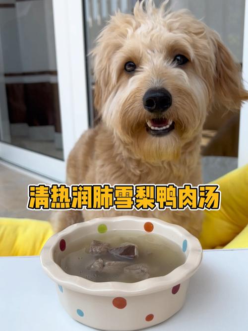 鸭肉如何做狗粮