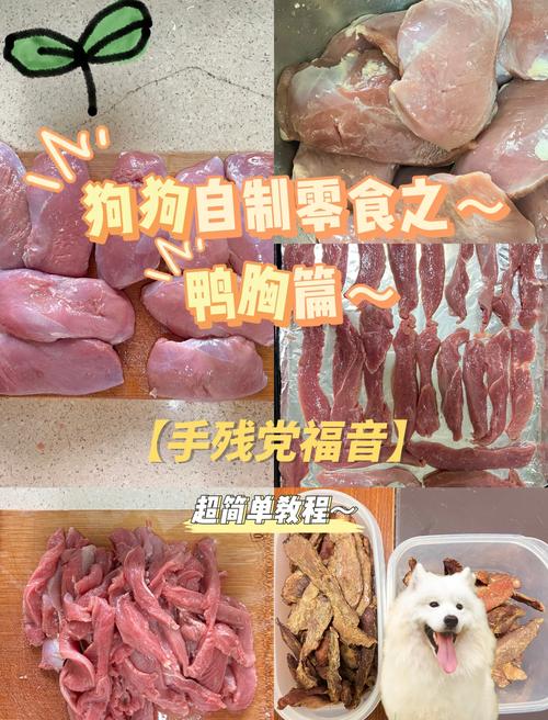 鸡肉鸭肉哪个更适合狗狗