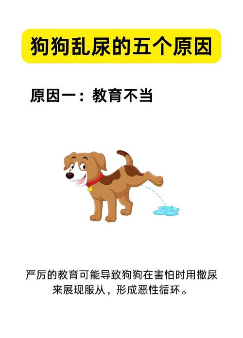 狗狗知道定点拉尿还到处乱拉