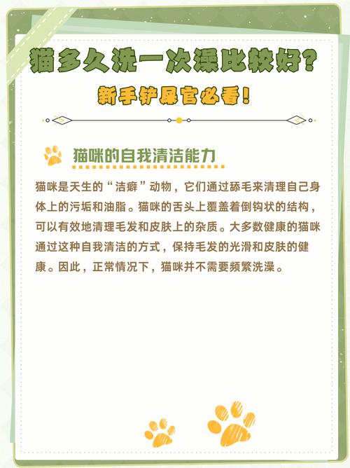 给猫多久洗一次澡好